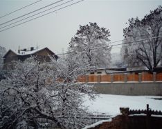 Náhodná fotogalerie